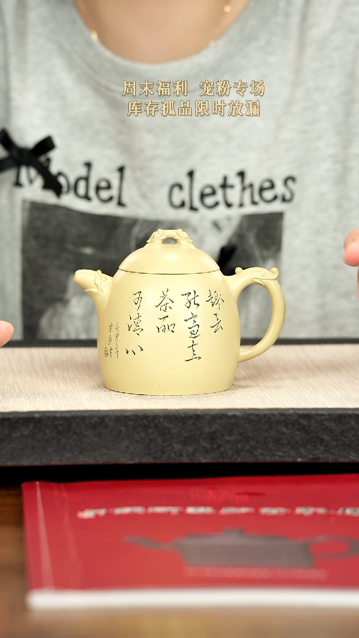 茶壶紫砂紫砂紫砂紫砂