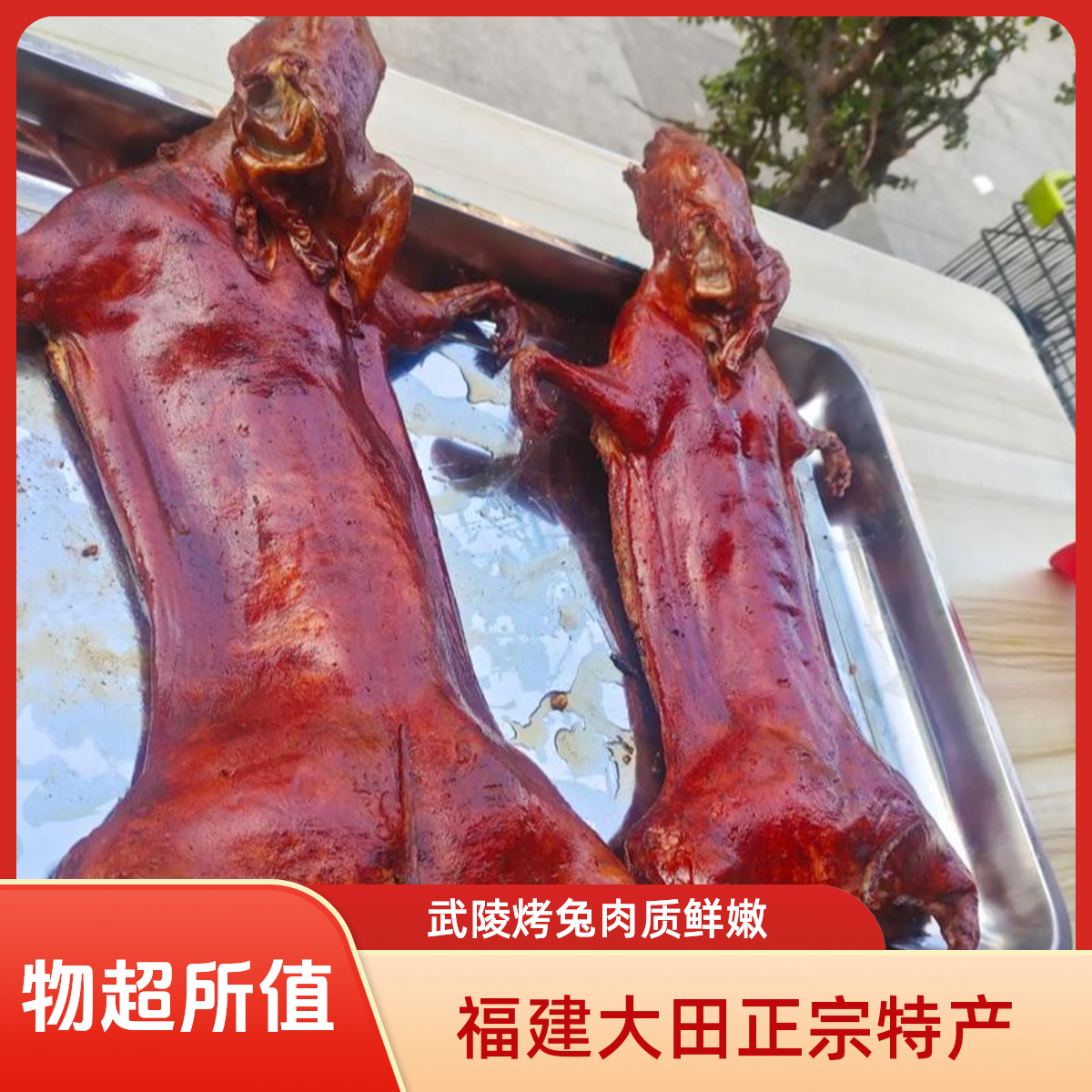（顺丰）武陵烤兔大田特产糟兔福建特产正宗皮Q红酒糟烤兔农家风味