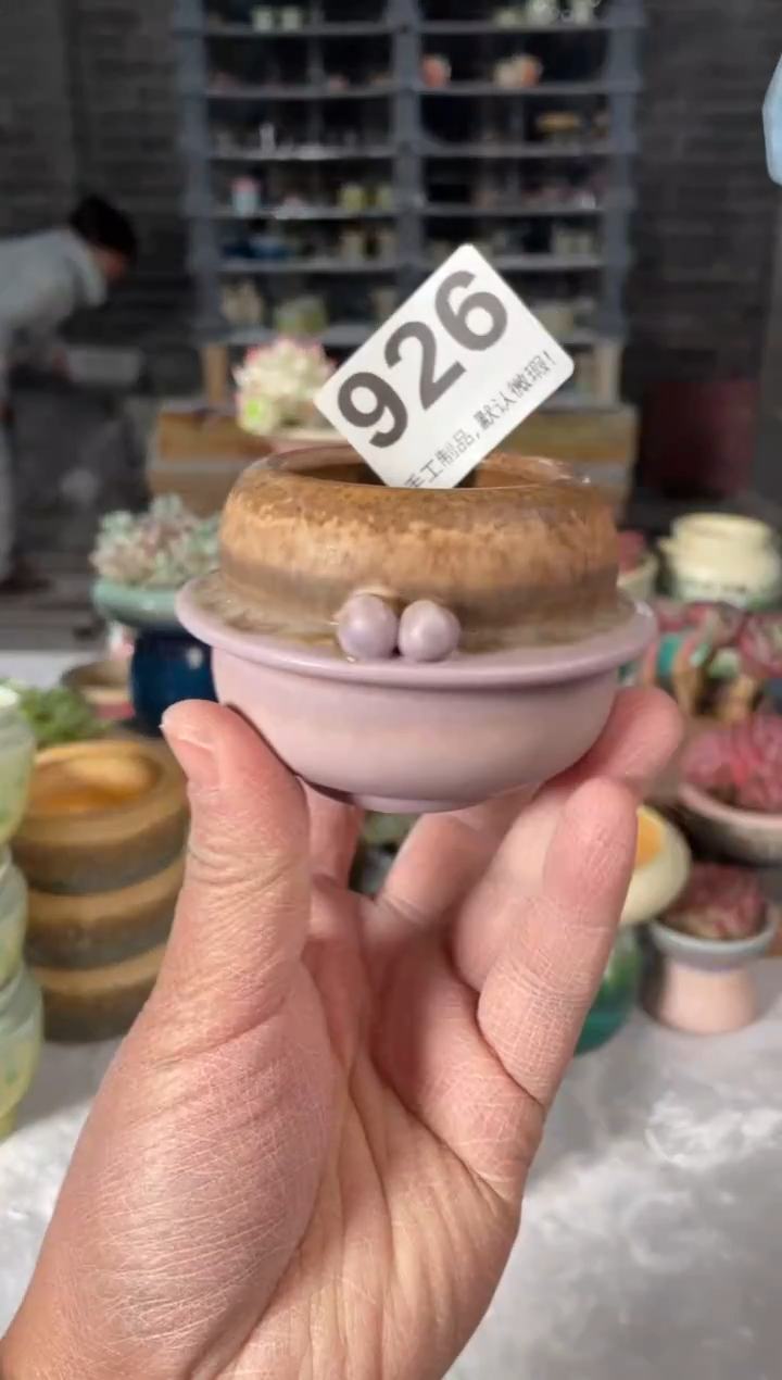 瓷片926小芳直播编号