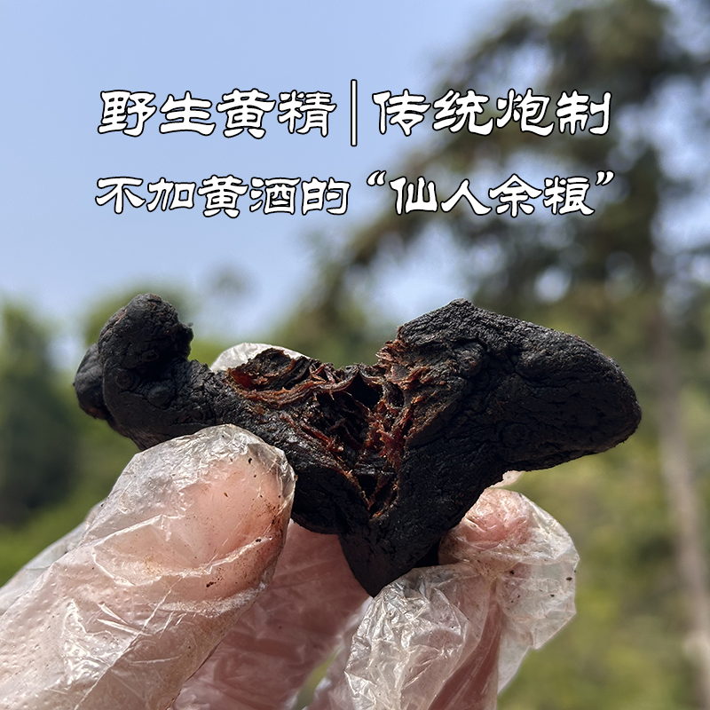 【非整根软黄精】纯野生山货 九蒸九晒仙人余粮 8-10年起多花黄精
