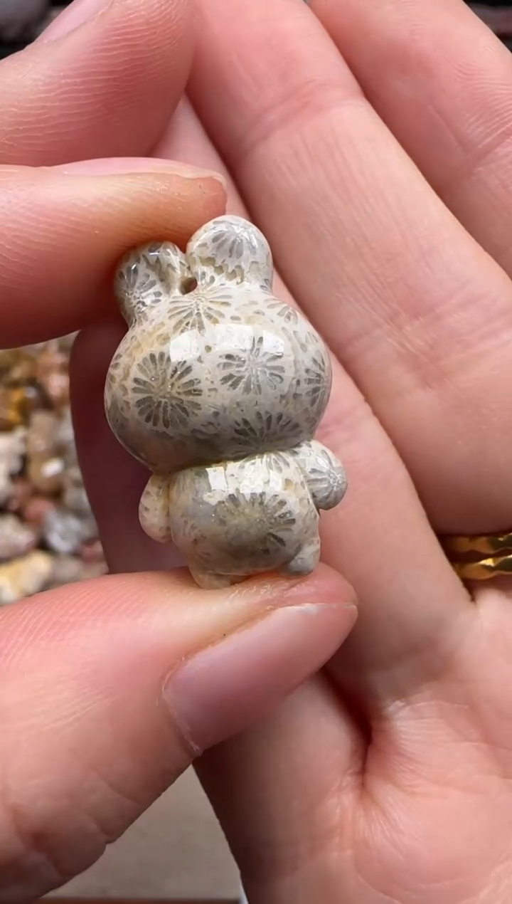 【闪购商品】硅化珊瑚（珊瑚玉）颈饰未镶嵌199