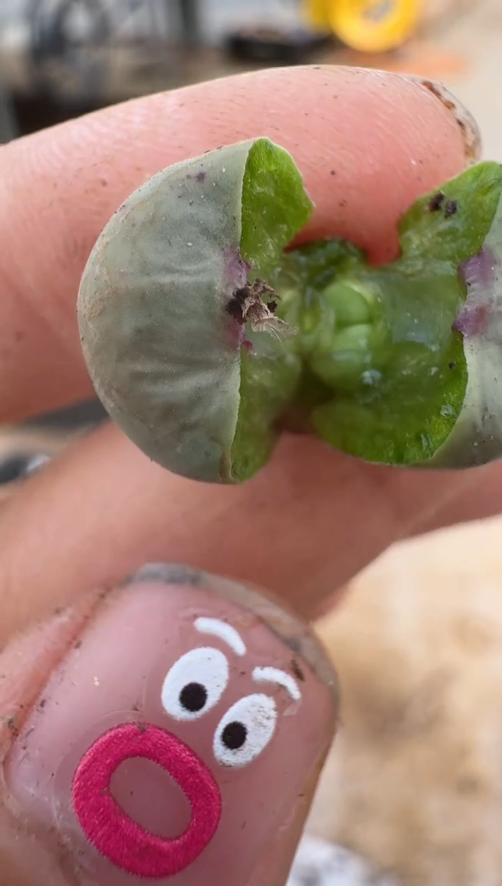 【闪购商品】16-168