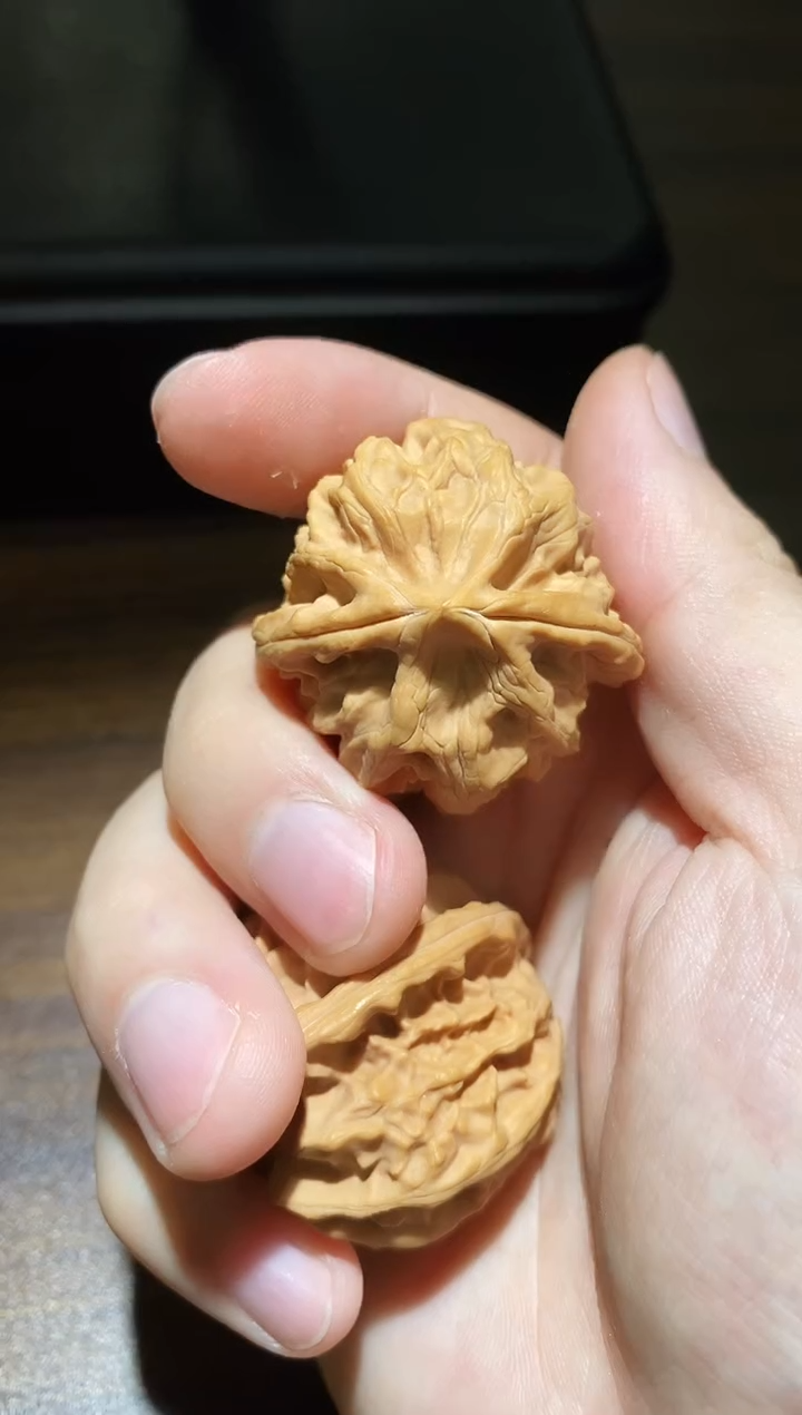 文玩核桃把件全品曹大龙34-36