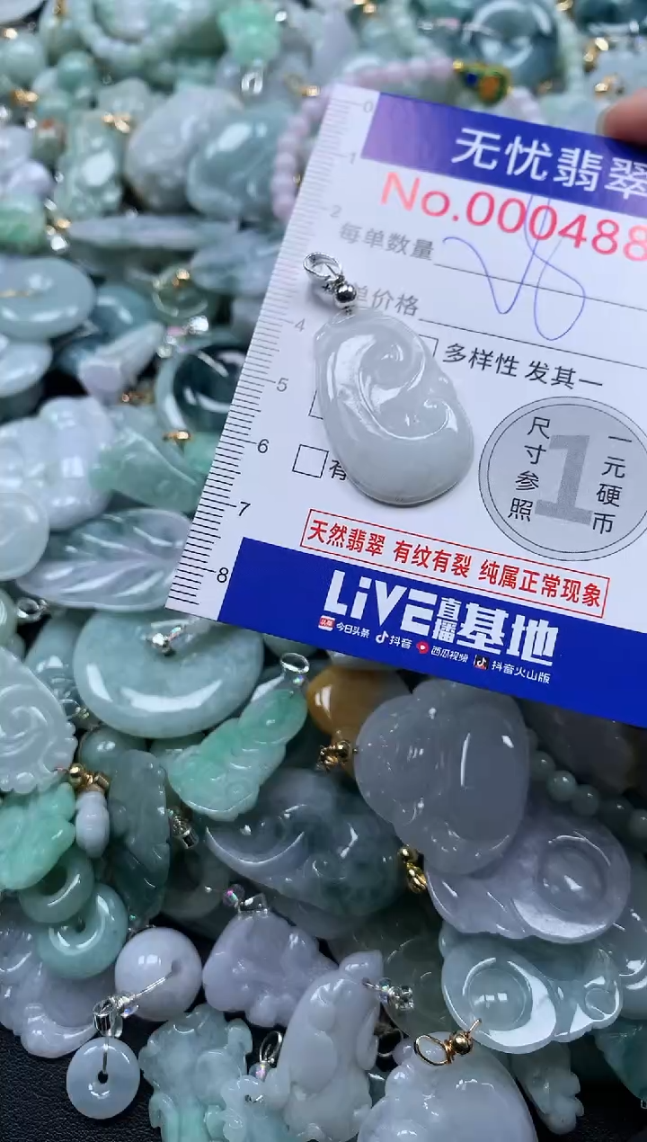 颈饰未镶嵌翡翠4880