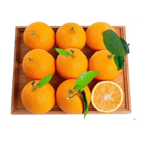 赣南脐橙脐橙5kg