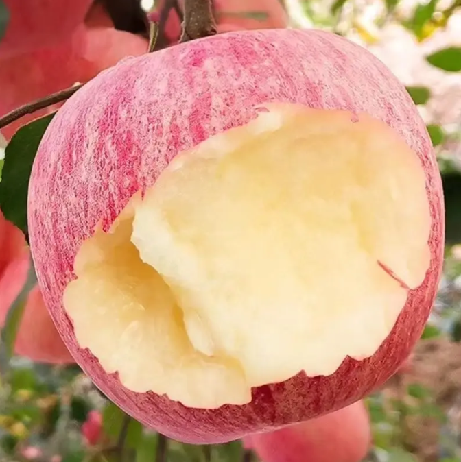 精品红富士水果新鲜水果酸甜脆爽制作水果捞整箱装