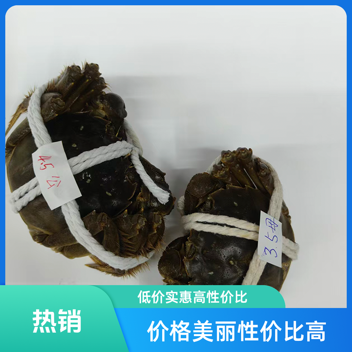 【活蟹】精品江苏大闸蟹母蟹3.5两公蟹4.5两10只/8只/6只（云南仓）