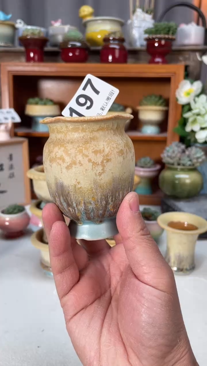 瓷片时****转197小芳直播编号