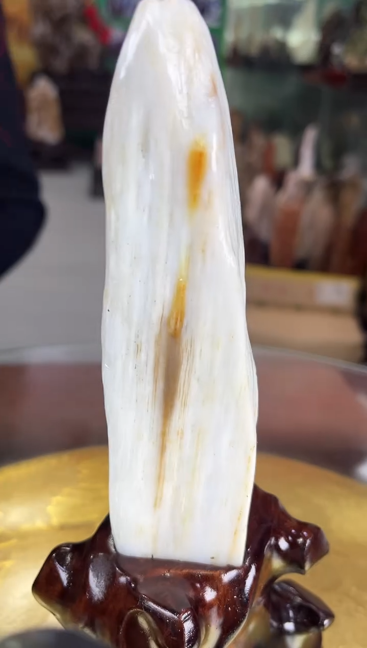 未镶嵌珠宝奇石硅化玉缅甸天然树化玉摆件