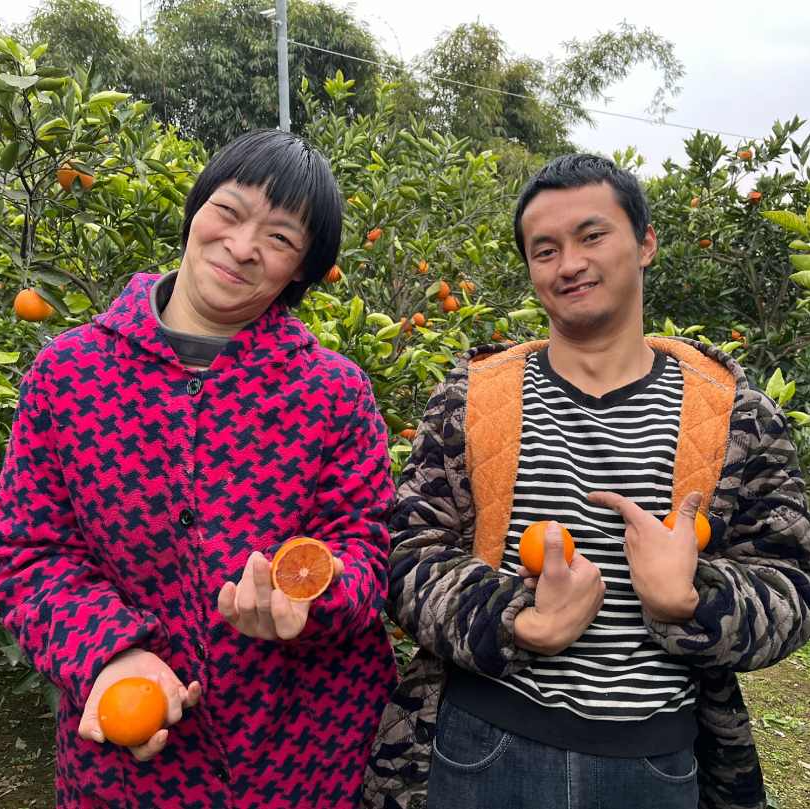 【姐姐和弟弟家玫瑰香血橙 】营养丰富香甜多汁应季血橙33