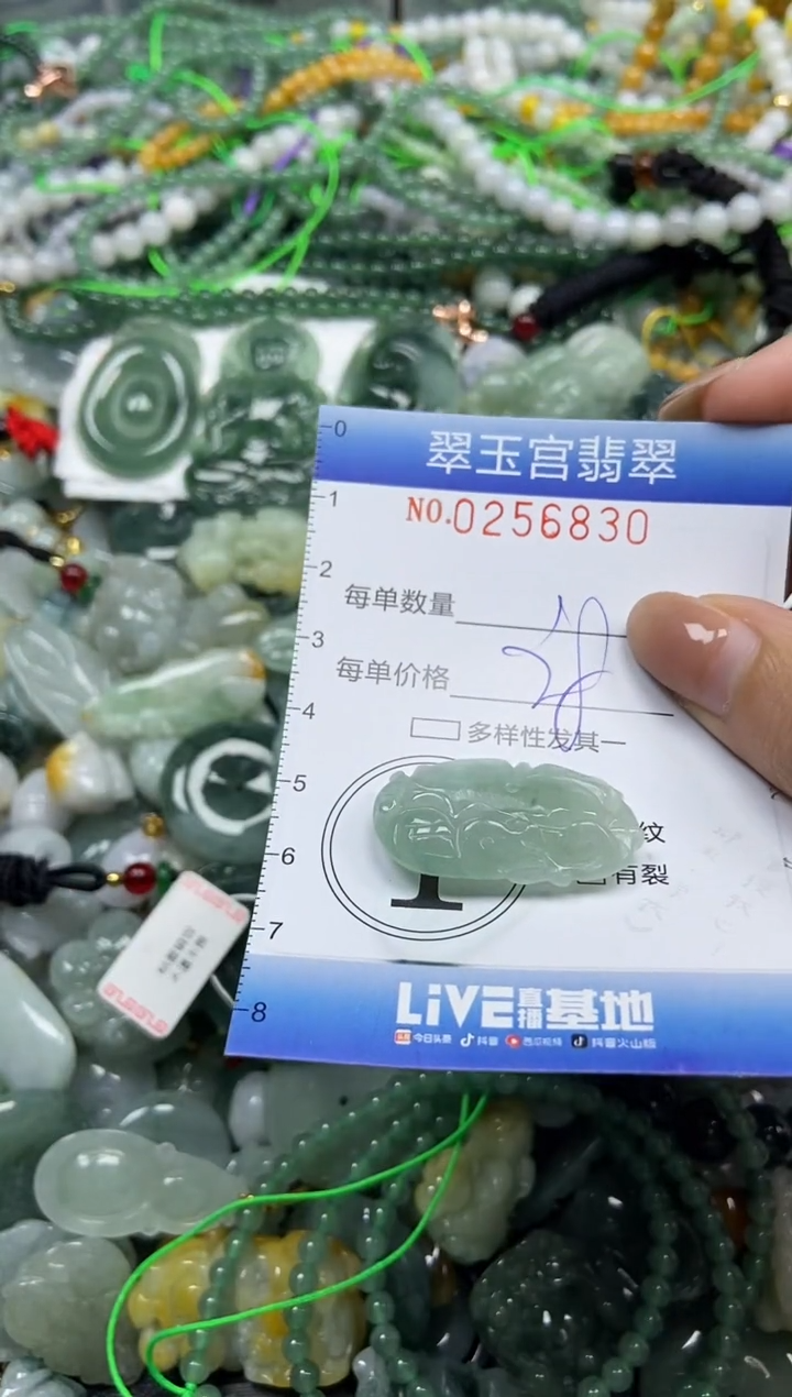 颈饰未镶嵌翡翠闪购C0256830
