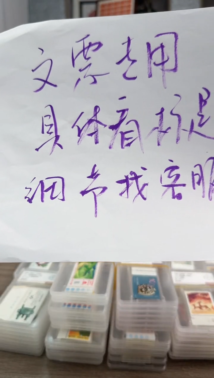 新 文6          
