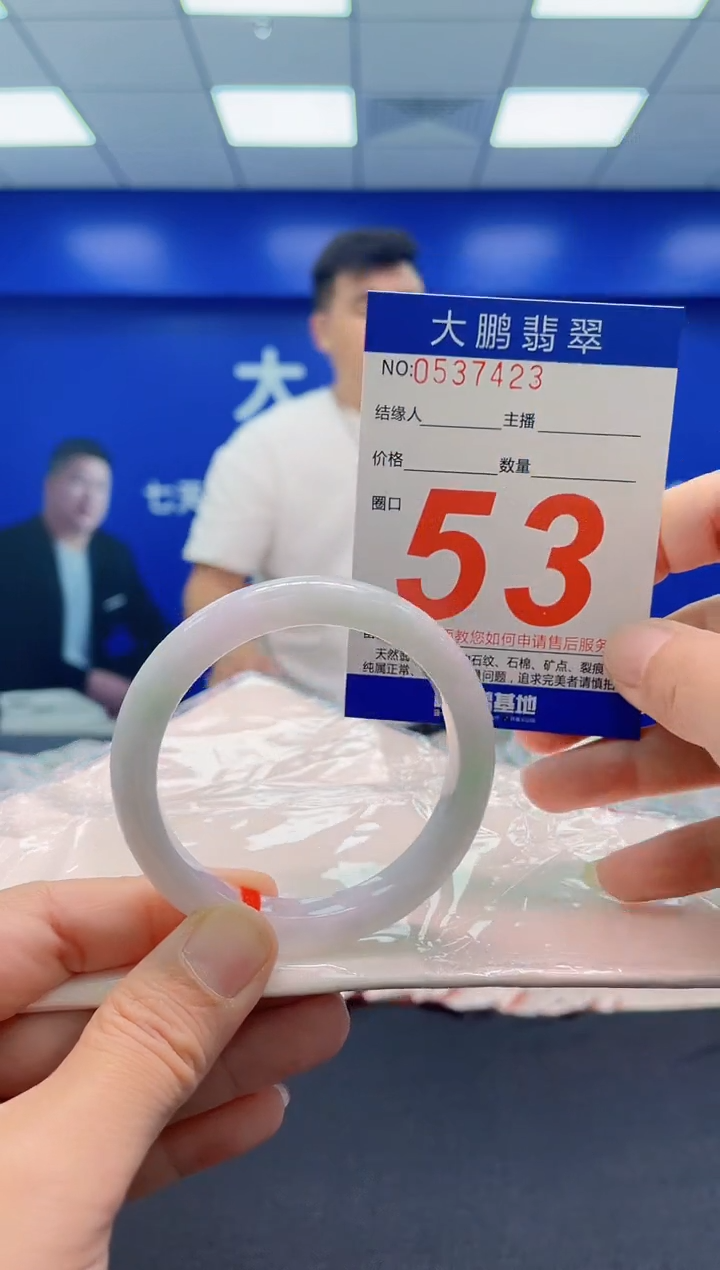 未镶嵌手镯翡翠AAAAAAAAA