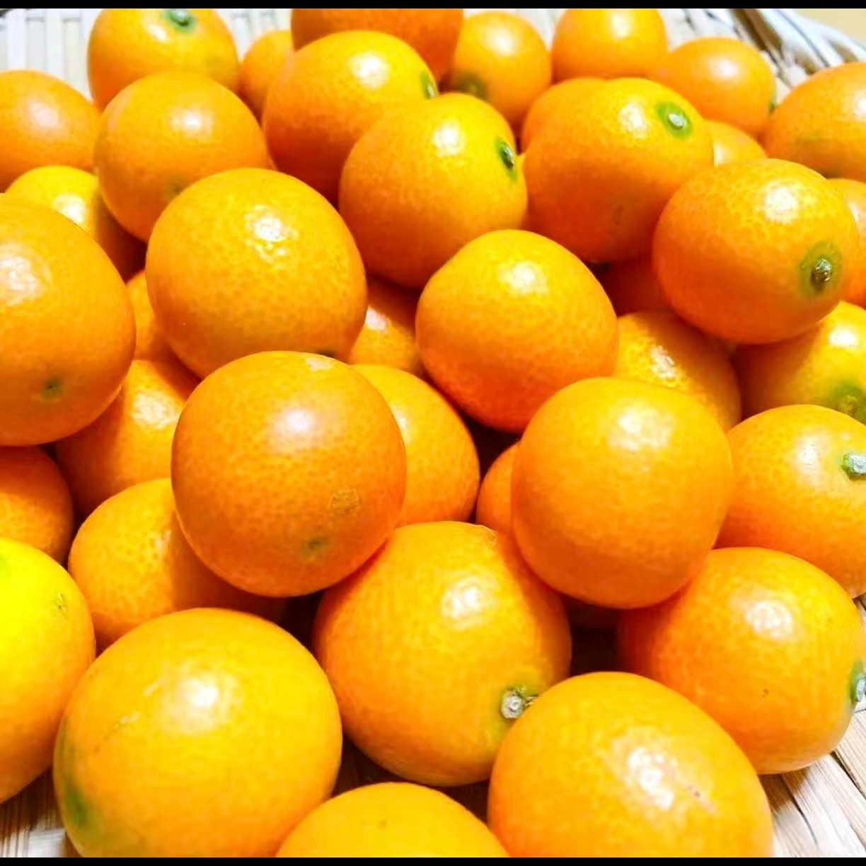 1箱【脆蜜金柑】小糖豆，清香甜脆，皮薄化渣，汁水丰富 净果1.5斤