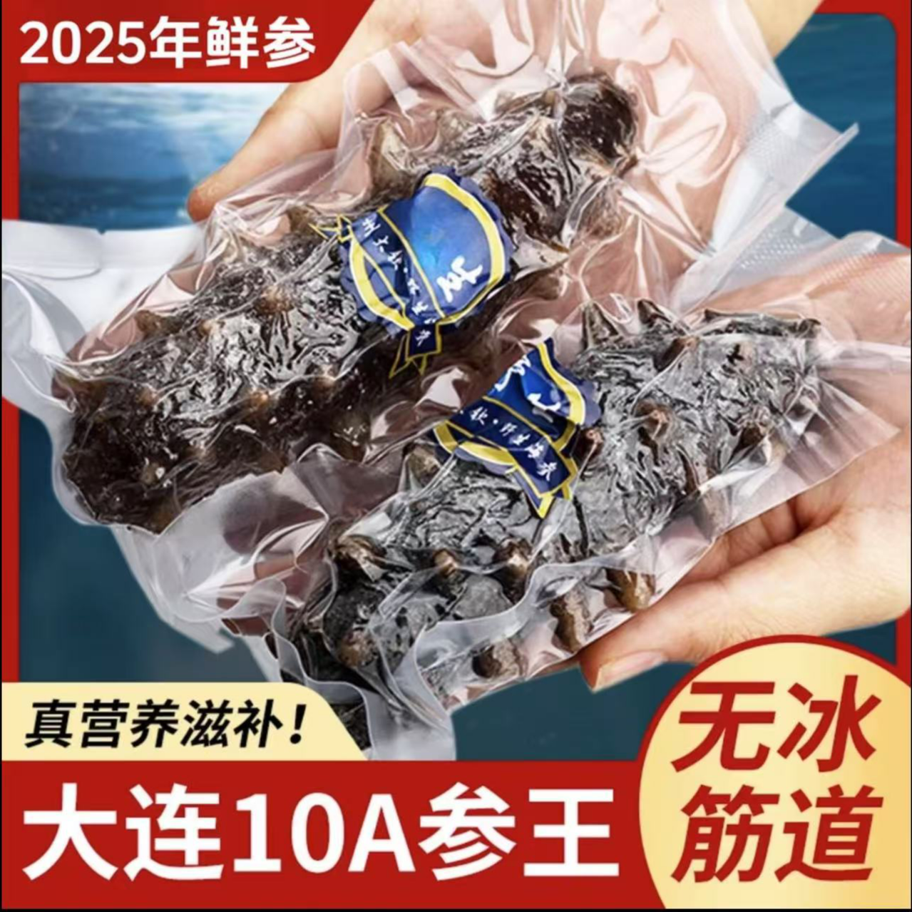 【到手2斤】海宝洋高品质即食辽刺参4-6头大规格非淡干源头工厂海参