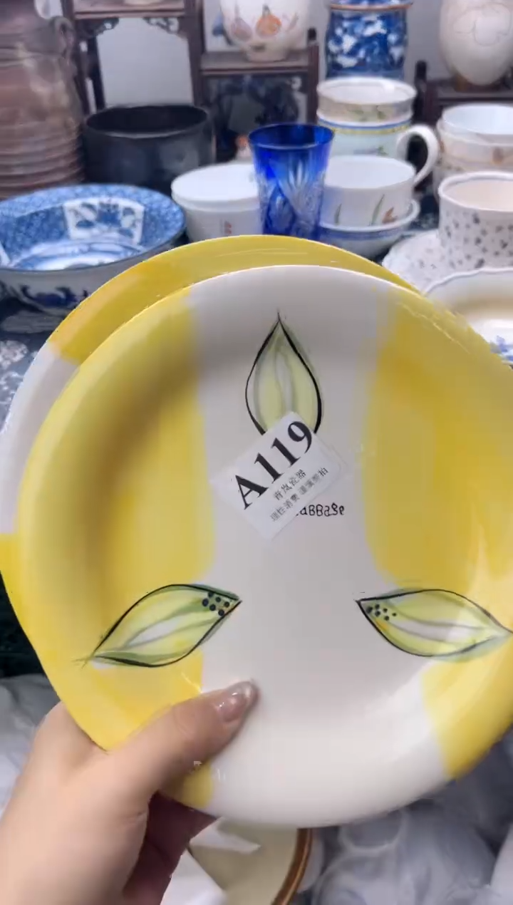瓷片1****8    A119