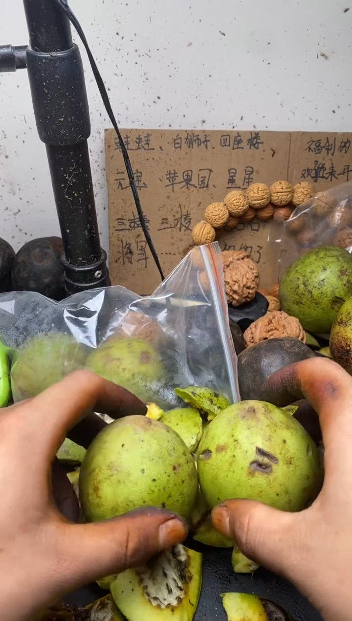 麒麟纹大官帽核桃