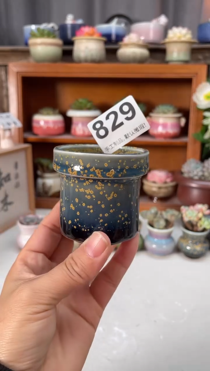 瓷片829小芳直播编号