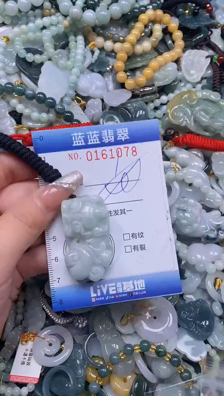 【闪购商品】翡翠颈饰未镶嵌闪购0161078多样性发其一