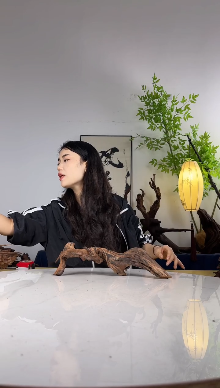 Z*5拍这个定向编号99