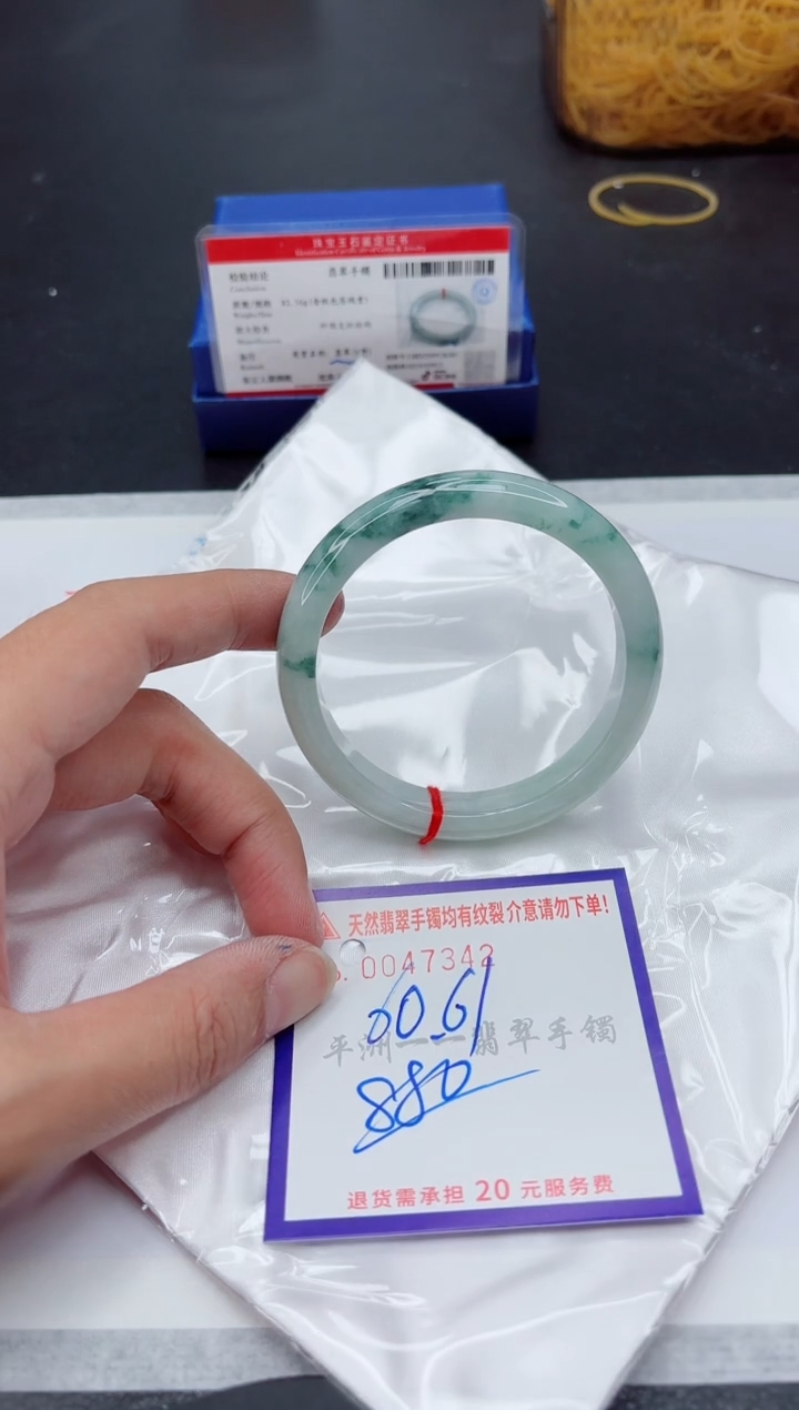 未镶嵌手镯翡翠1