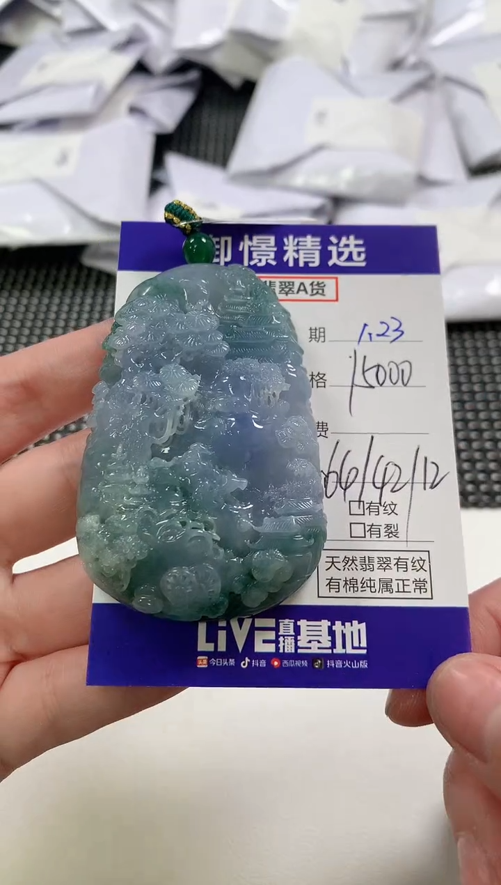 【闪购商品】翡翠颈饰未镶嵌72          