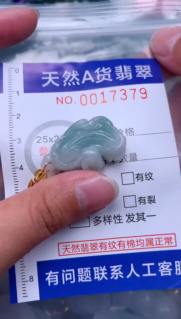 翡翠未镶嵌吊坠(不含链)1