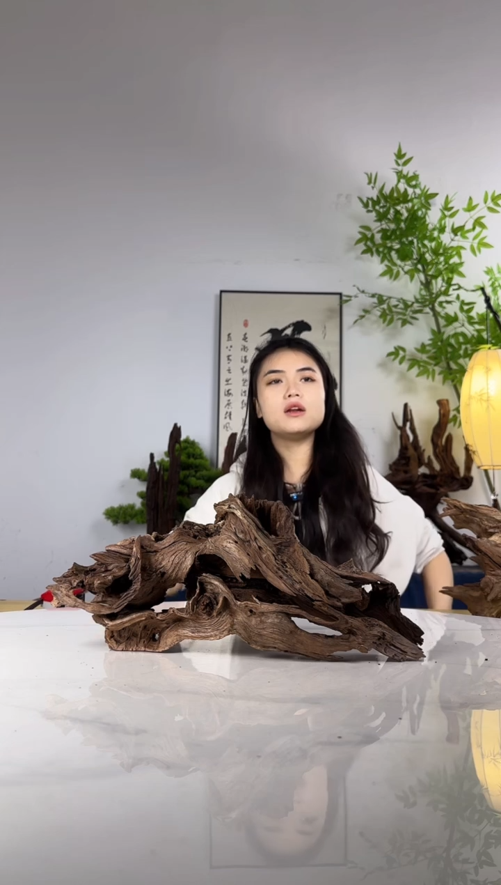 石*界拍沉木定向链接编号12