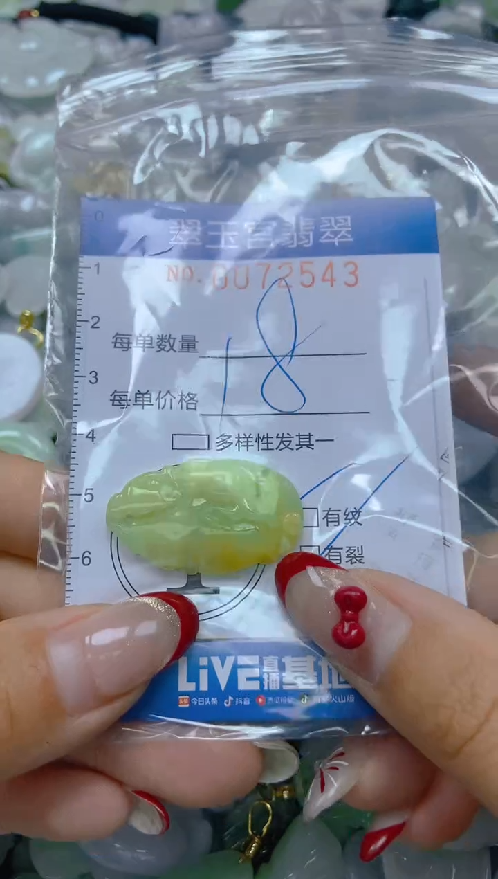 【闪购商品】翡翠颈饰未镶嵌闪购0072543