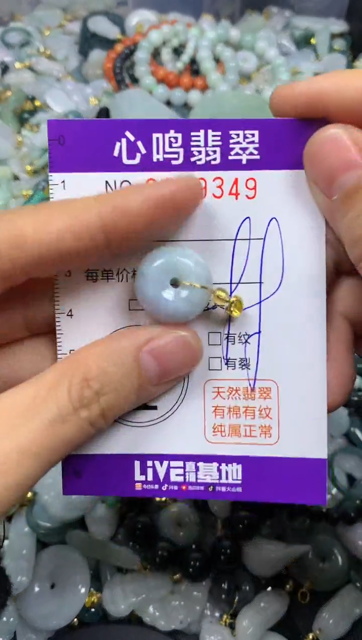 【闪购商品】翡翠颈饰未镶嵌闪购009349