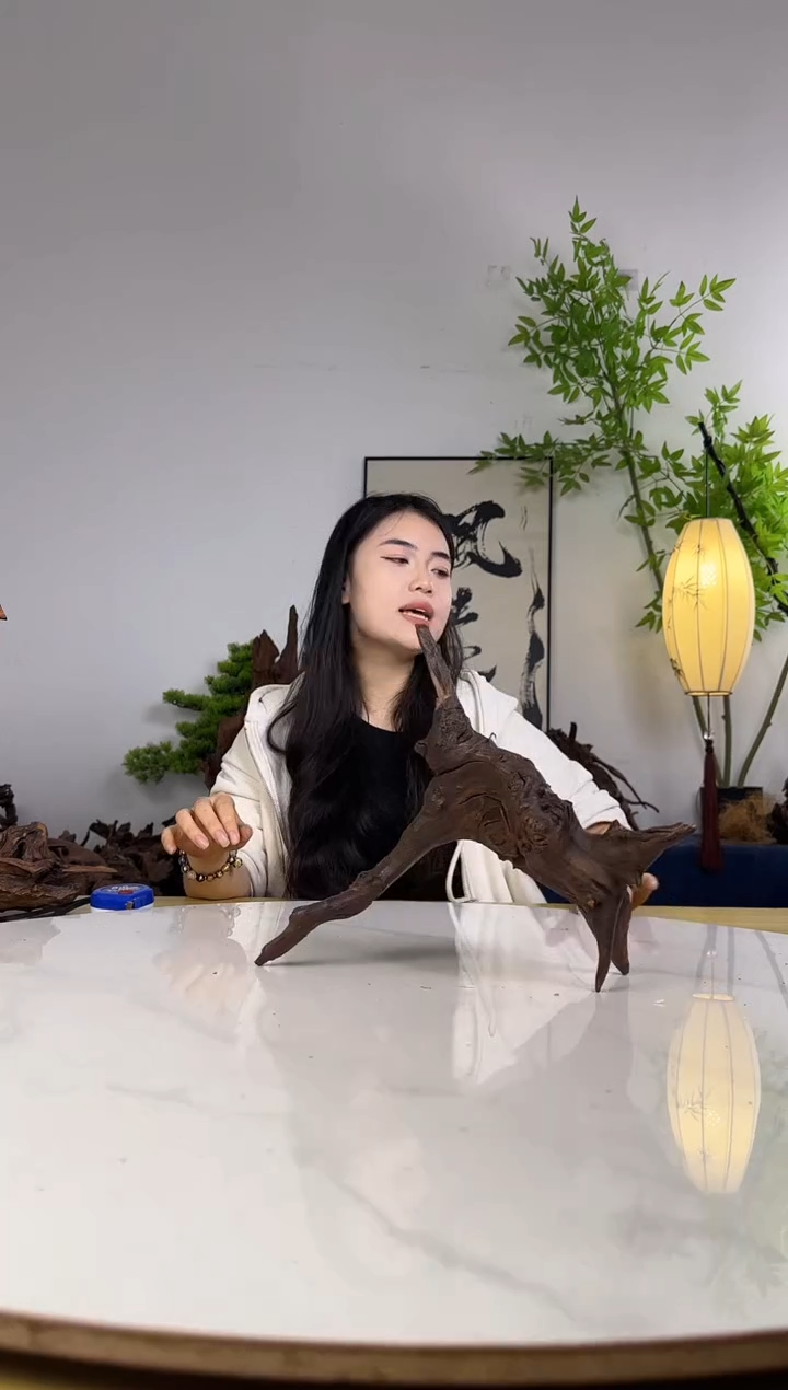 一*堂拍沉木定向链接编号64
