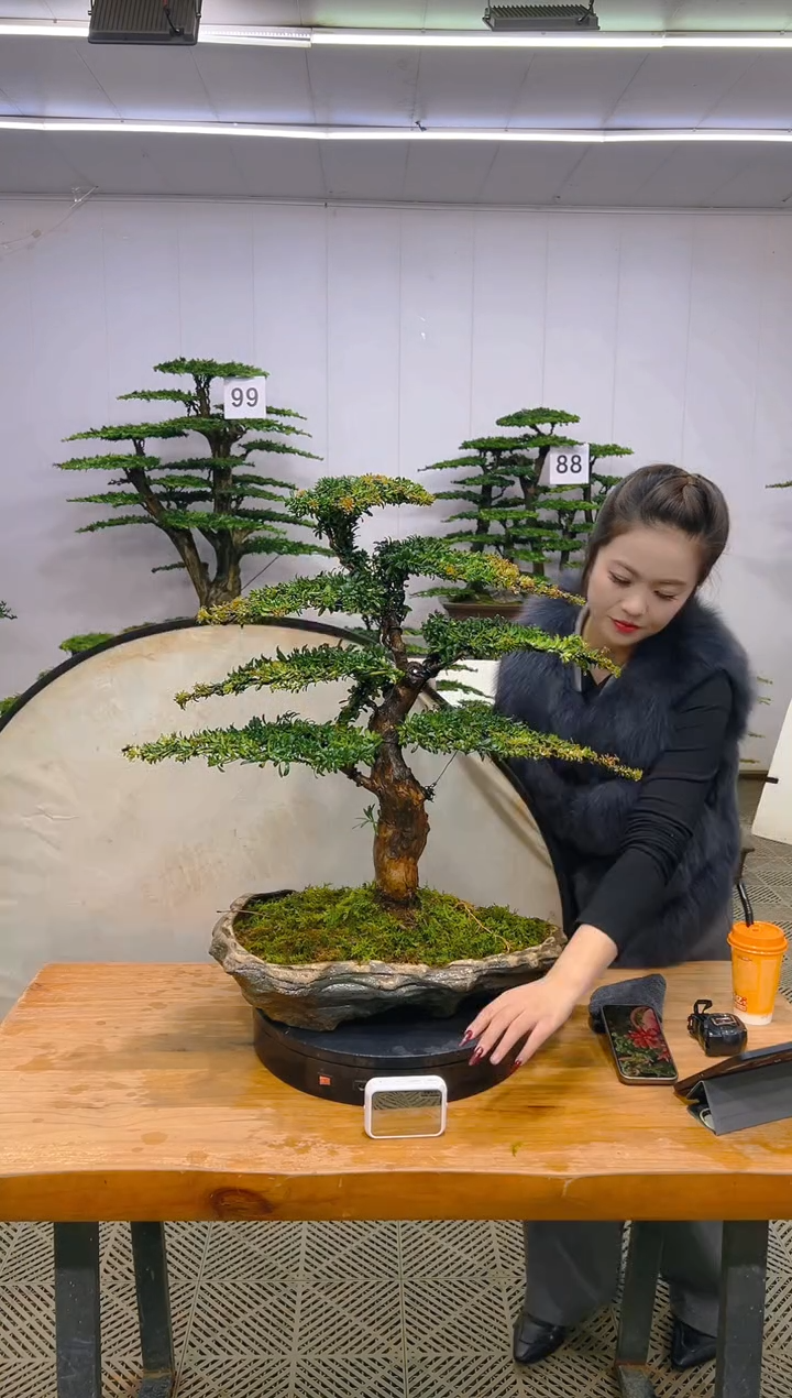 无花朵一物一拍一物一拍