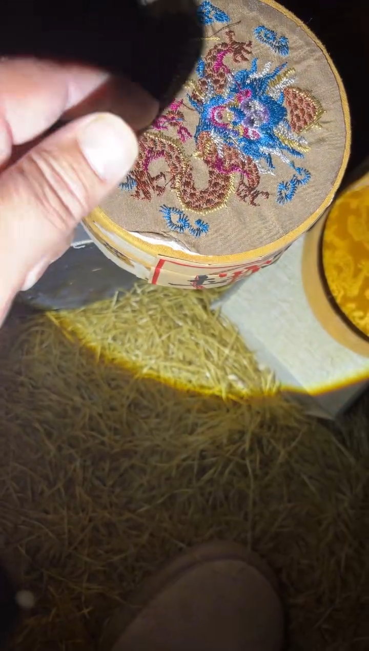 木木木木木木木木