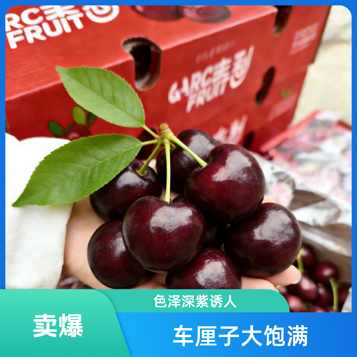 【5斤原箱】智利桑提娜车厘子2JD-5JD 空运南宁同城桑提娜智利