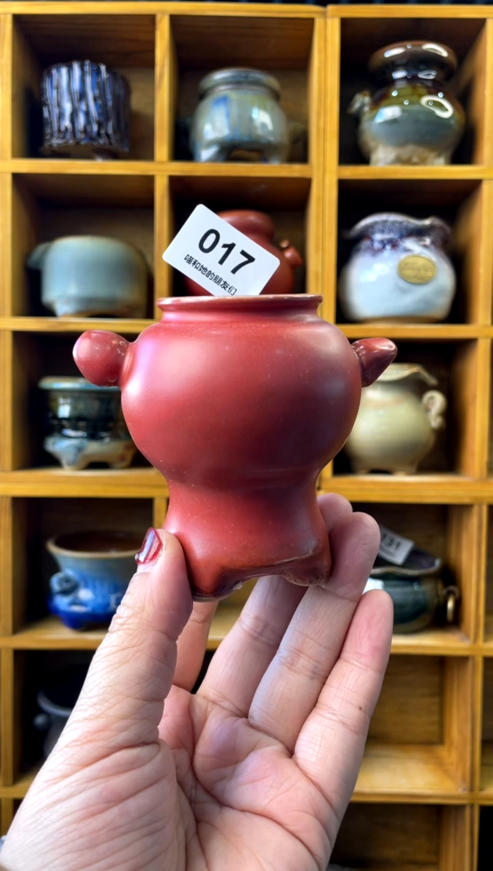 【闪购商品】陶017 内口3【喵喵团圆多肉盆】