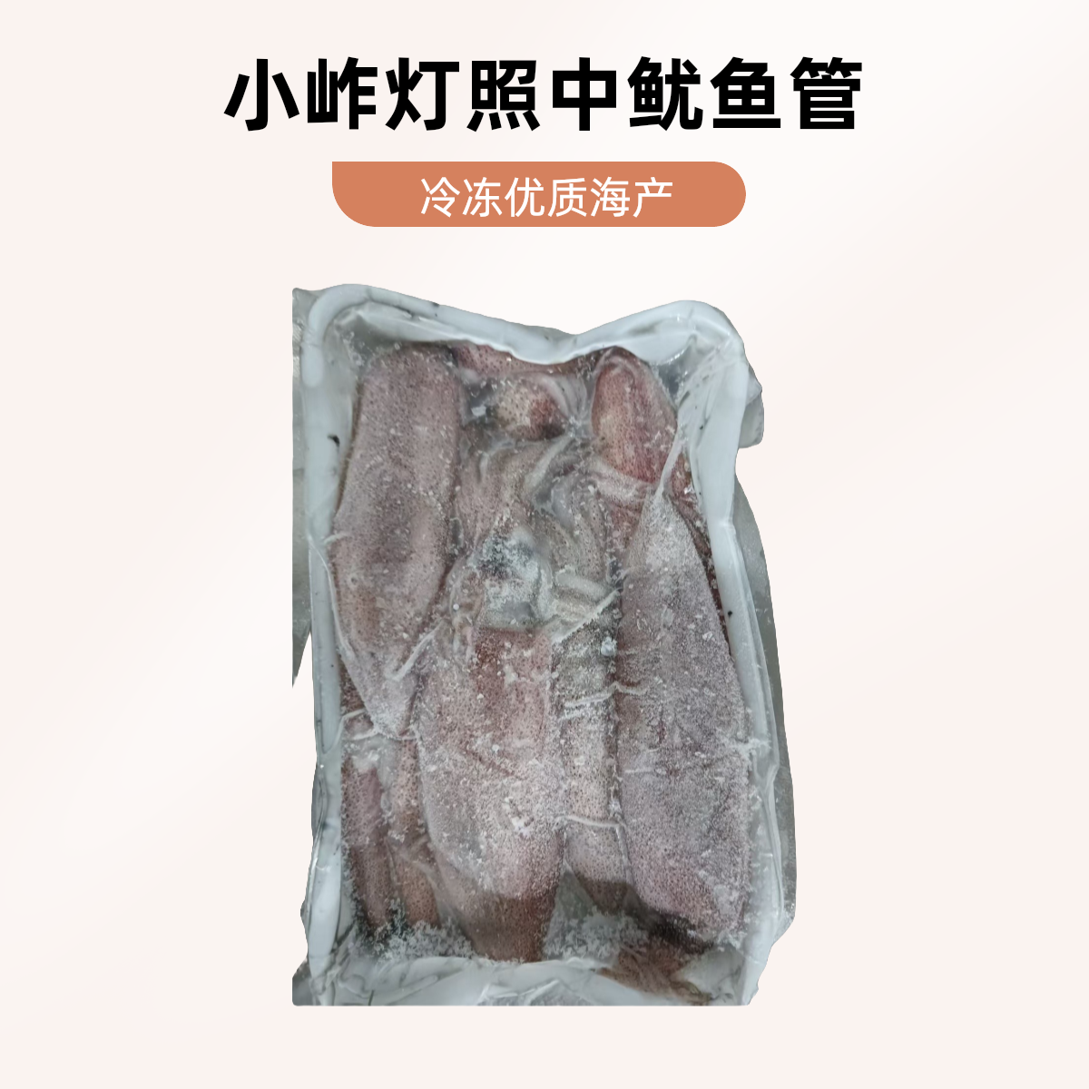 （尾姐推荐）小岞灯照中鱿鱼管