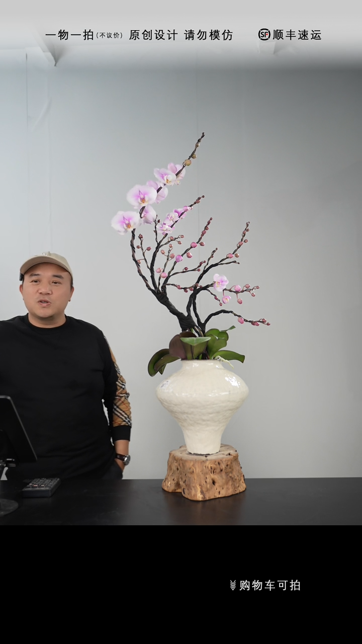 【闪购商品】054号链接【一物一拍】艺术盆景