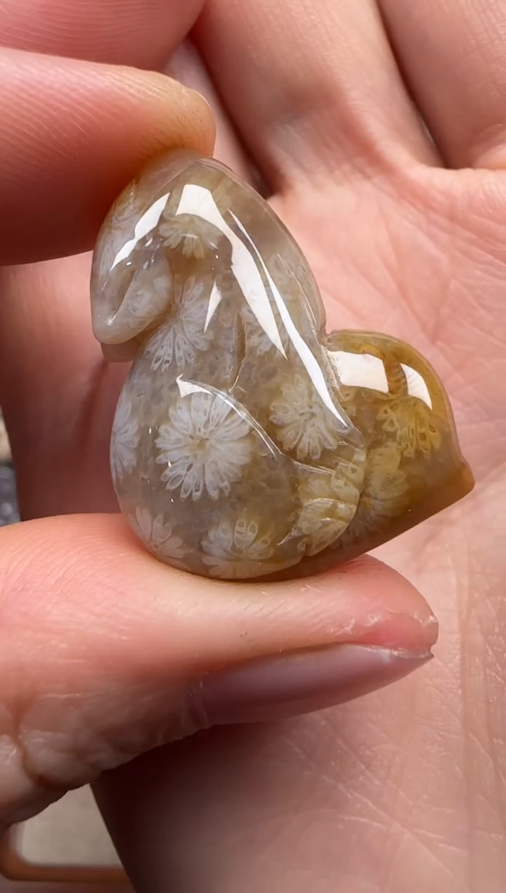 【闪购商品】硅化珊瑚（珊瑚玉）颈饰未镶嵌788