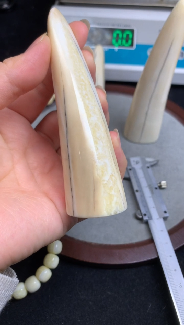 【闪购商品】橄榄核手串/手链猛犸猛犸猛犸猛犸D86