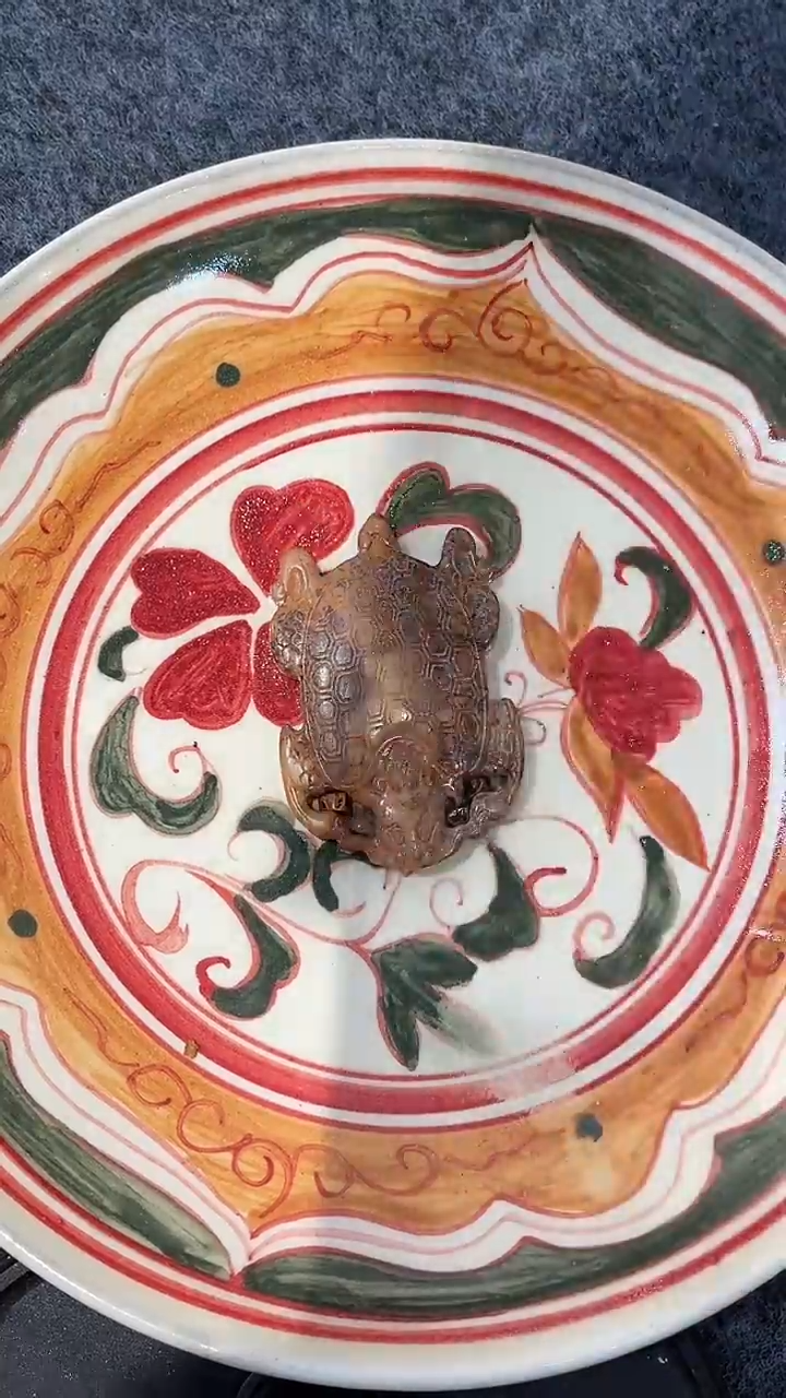 杯瓷器888888888888