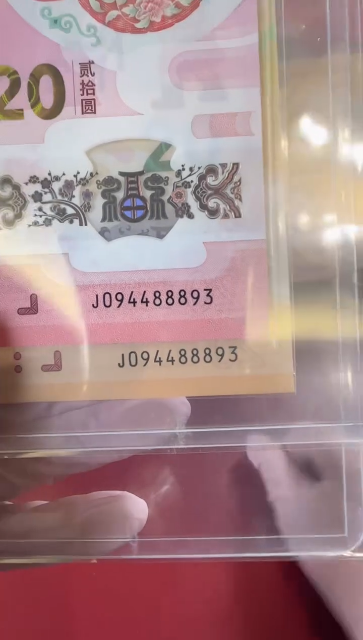 【闪购商品】塑料2025蛇钞全同号啊啊啊啊啊裸