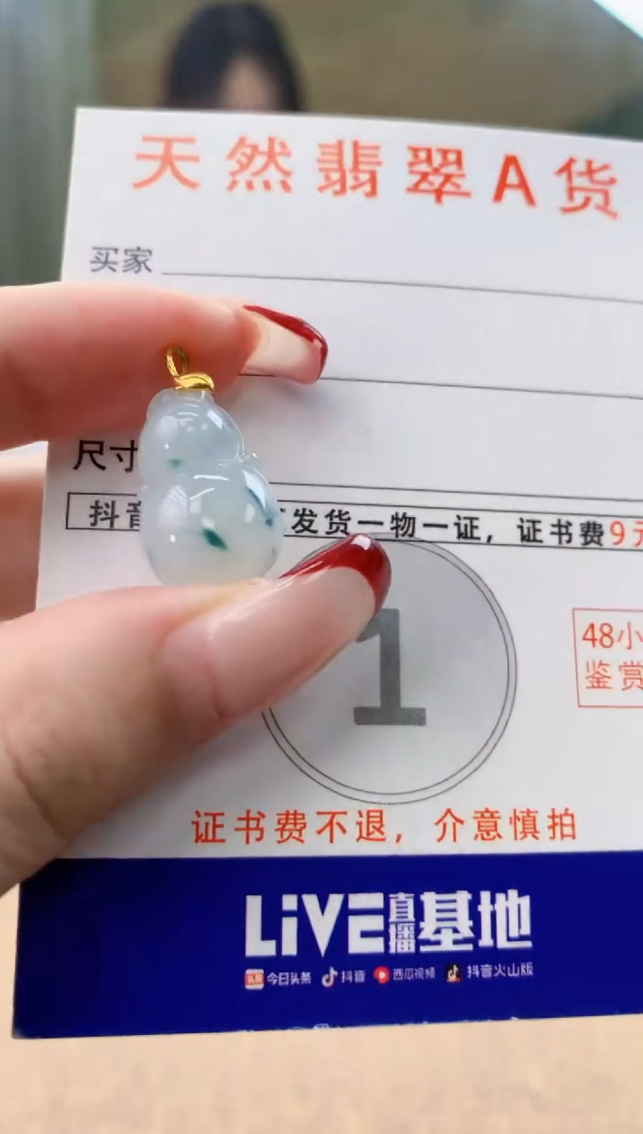 颈饰未镶嵌翡翠 天然A货翡翠挂件