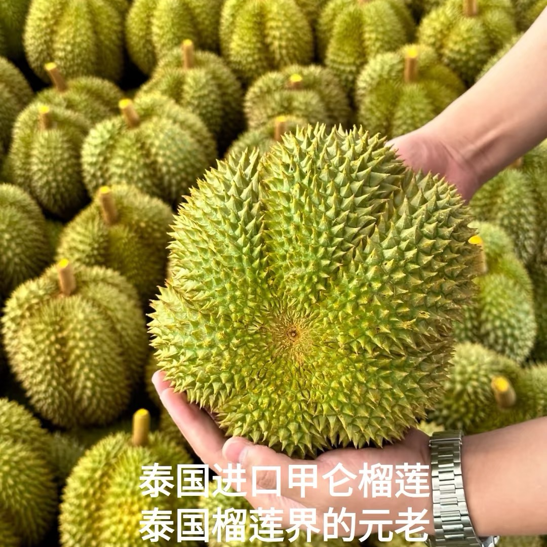 【西施专属】区间泰国甲仑新鲜榴莲整颗鲜果树熟带壳A级软糯香甜2-7斤核大【顺丰次日达】甲仑泰国东部