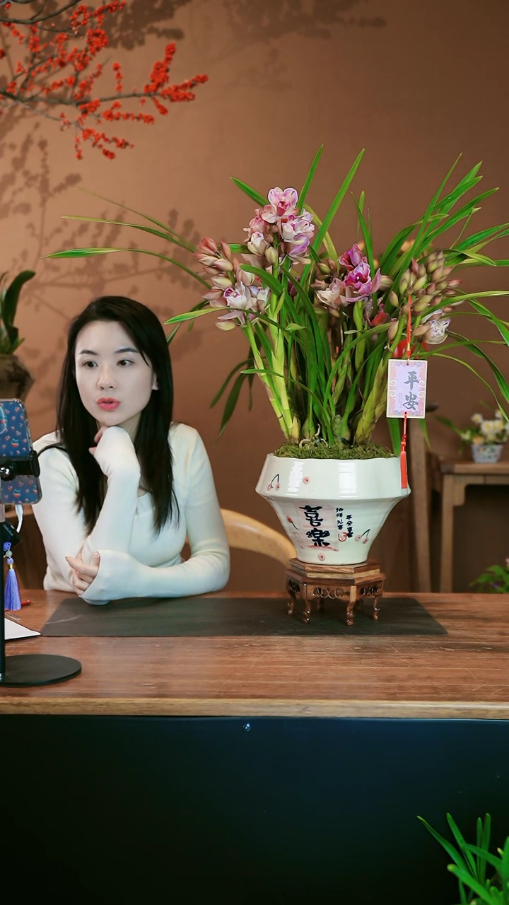 【闪购商品】盆景蝶恋花 喜乐