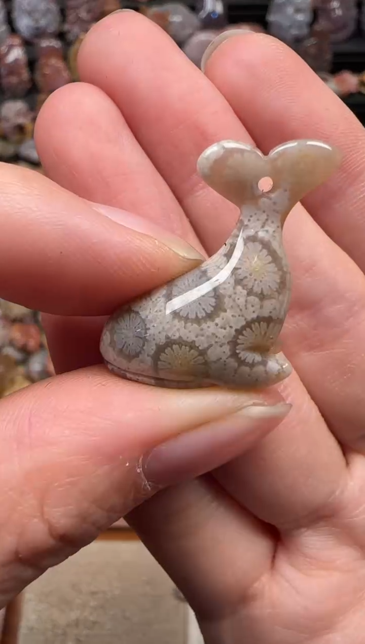 颈饰未镶嵌硅化珊瑚（珊瑚玉）695