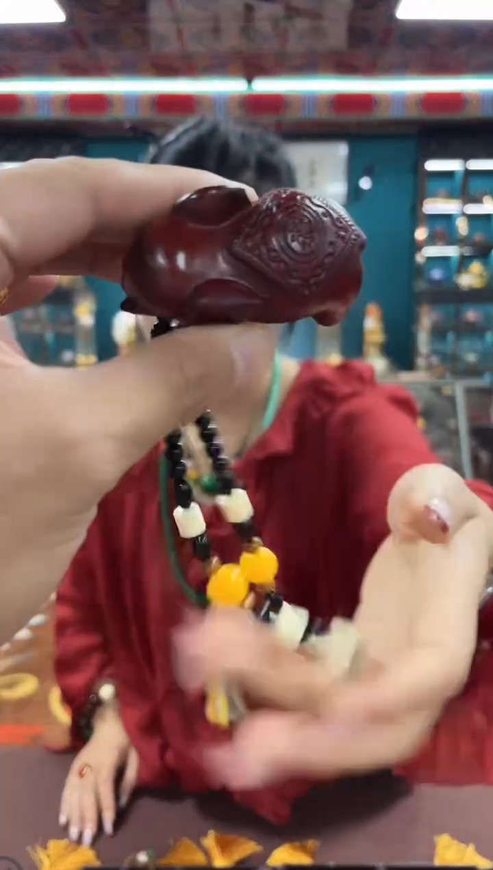香榧木01三顶顶顶顶顶顶顶
