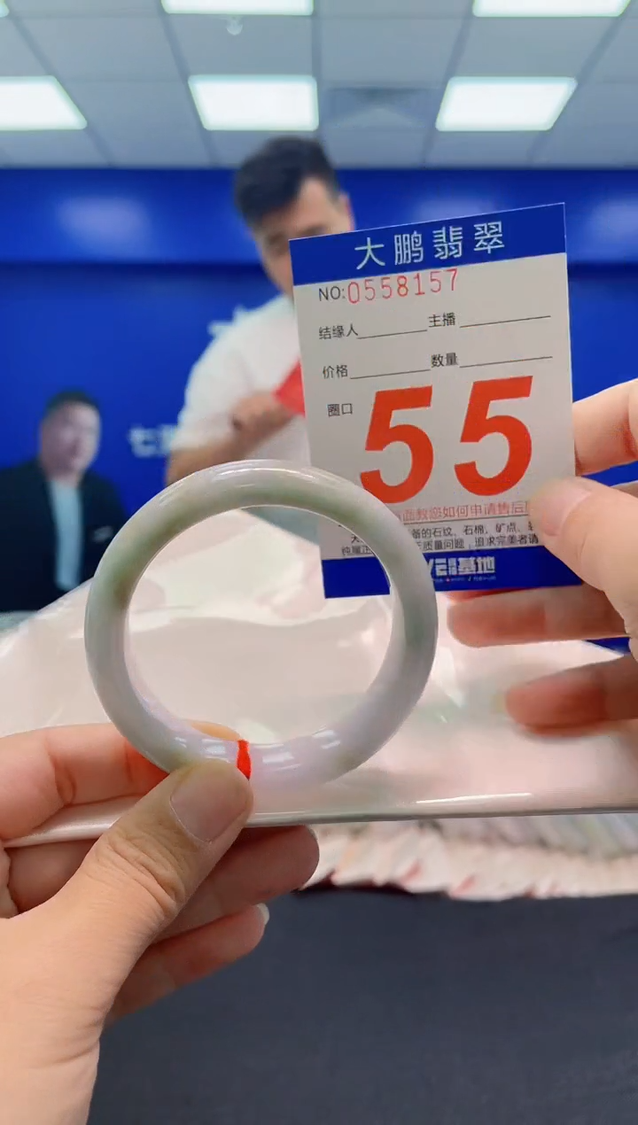 未镶嵌手镯翡翠AAAAAAAAA