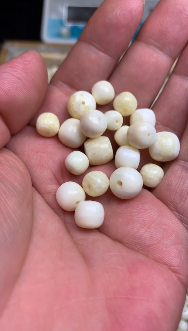 【闪购商品】橄榄核手串/手链猛犸猛犸猛犸猛犸D22