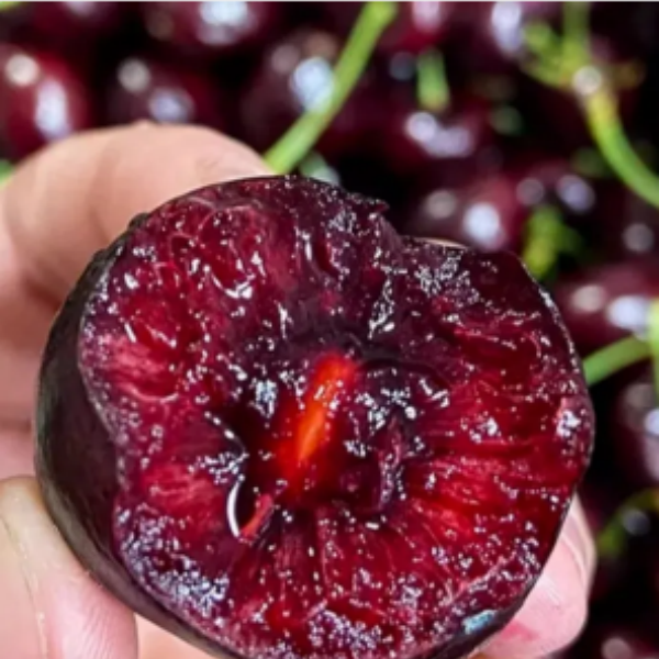  车厘子+空运+桑提娜 2JD约2斤桑提娜