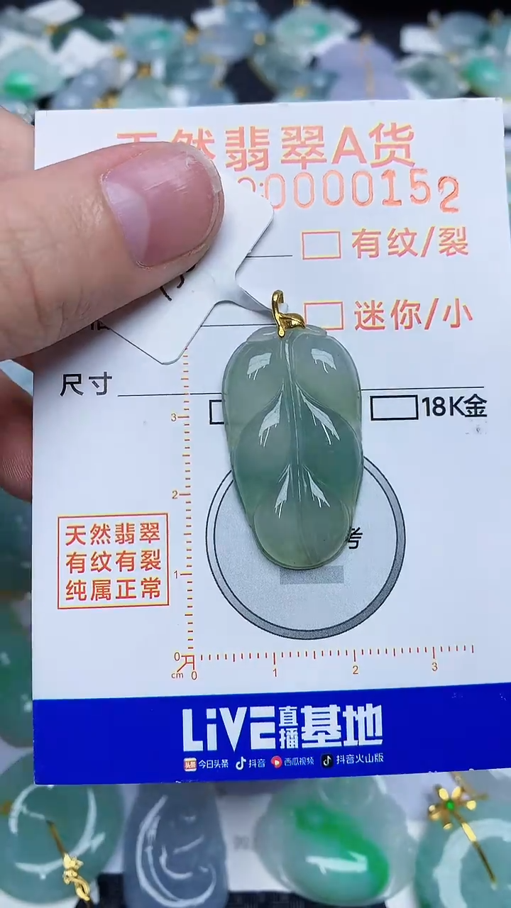 【闪购商品】翡翠颈饰18K金镶嵌12.12.1212